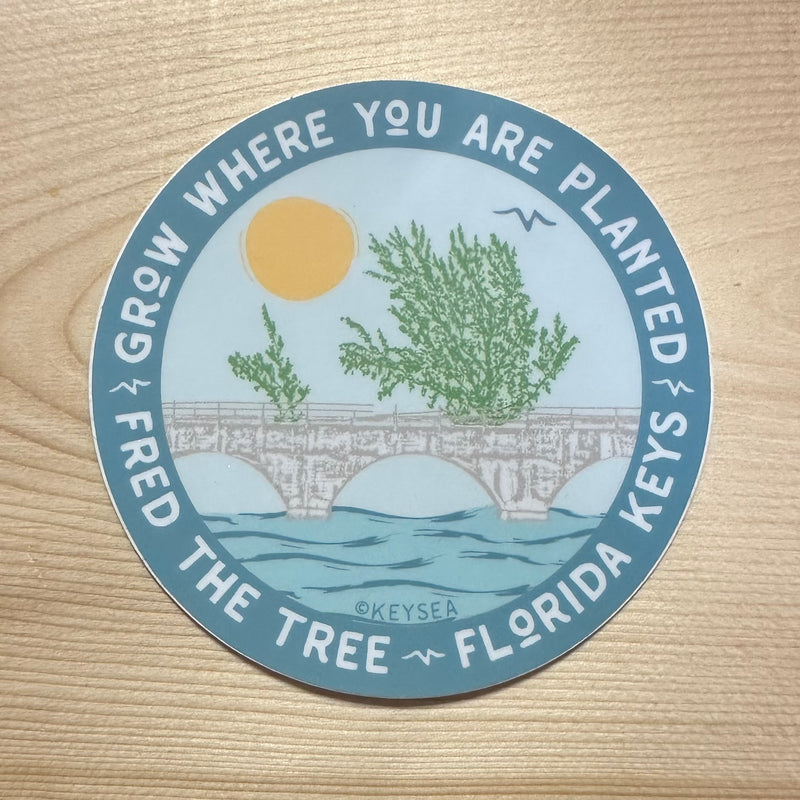 Scholarship Sticker - Fred the Tree 3” Circle Aqua