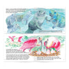 Manatee Magic Book