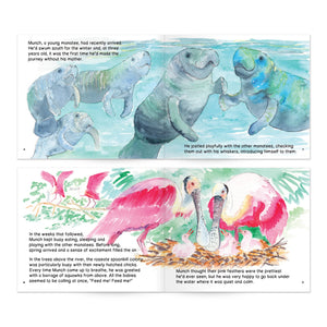 Manatee Magic Book