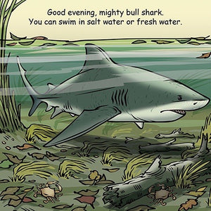 Good Night Sharks Book
